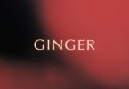 King Promise – Ginger (Prod. By Jae5)